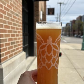 The Copper Turtle Brewery & Taverne - Just Peachy! - Breweries Near Me - Milwaukee, Wisconsin