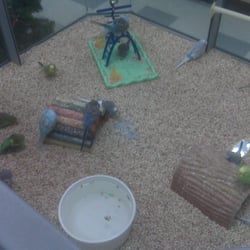 The Pet Company
