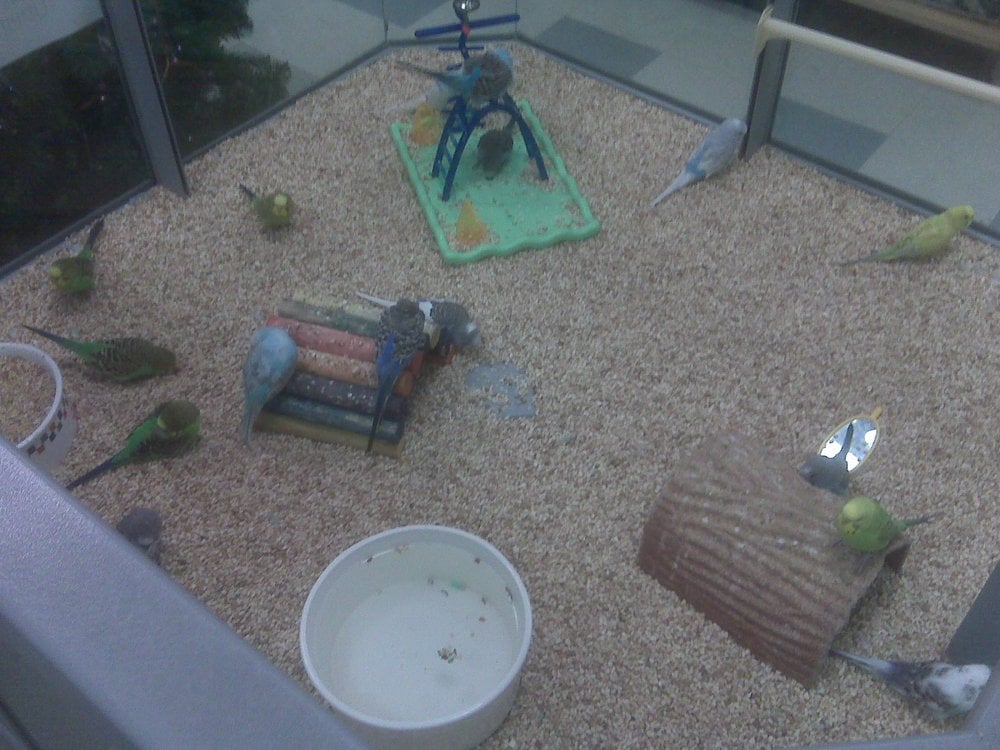 THE PET COMPANY 10 Photos 2100 Hamilton Place Blvd, Chattanooga