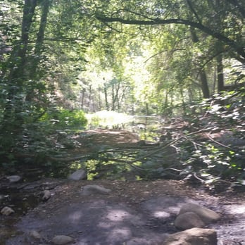 Hermit Falls - The shaded part on the way to Hermit Falls - Hiking Near Me - Arcadia, California Hermit Falls - The shaded part on the way to Hermit Falls - Hiking Near Me - Arcadia, California