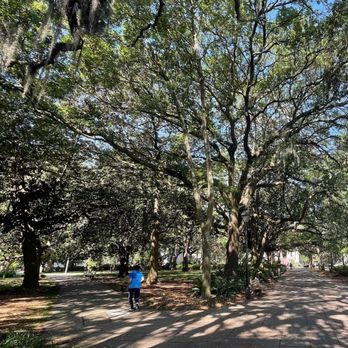 Forsyth Park - Parks Near Me - Savannah, Georgia Forsyth Park - Parks Near Me - Savannah, Georgia