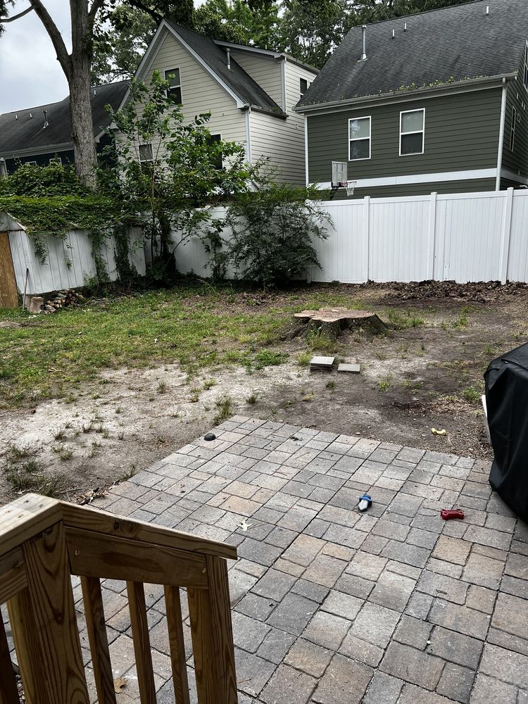 Mike's Tree Service - tree service in Virginia Beach, VA