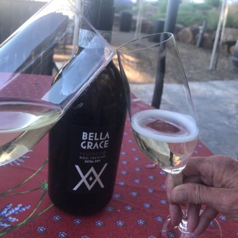 BellaGrace Vineyards - Wineries Near Me - Plymouth, California BellaGrace Vineyards - Wineries Near Me - Plymouth, California