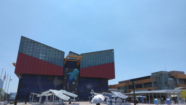 Osaka Aquarium Kaiyukan by null