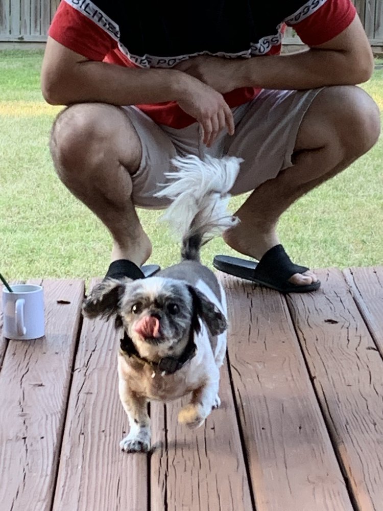 BINGLE VETERINARY CLINIC Updated July 2024 34 Photos & 114 Reviews