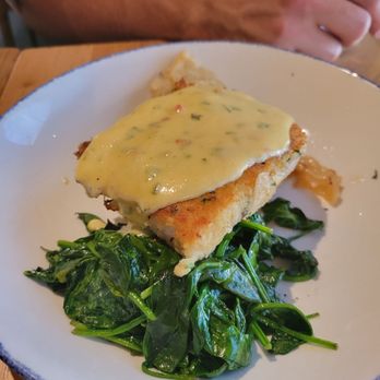 Bluewater Grill Seafood Restaurant & Market Carlsbad - Lemon Mahi - Seafood Near Me - Carlsbad, California Bluewater Grill Seafood Restaurant & Market Carlsbad - Lemon Mahi - Seafood Near Me - Carlsbad, California