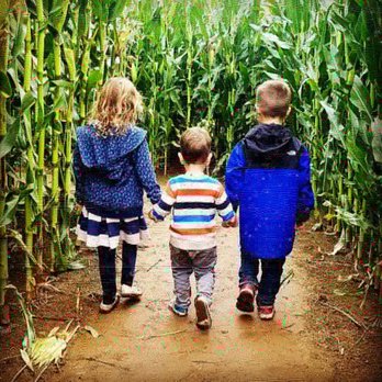 Bob's Corn & Pumpkin Farm - Making memories - Pumpkin Patches Near Me - Snohomish, Washington Bob's Corn & Pumpkin Farm - Making memories - Pumpkin Patches Near Me - Snohomish, Washington