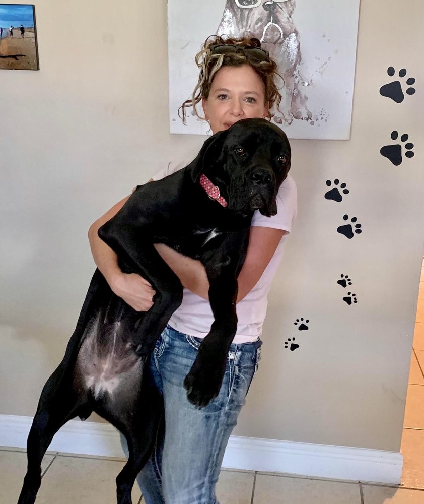 WAGGY RESORT - Updated May 2024 - 12 Photos & 14 Reviews - 638 SW Todd