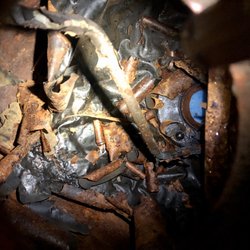 Everything Motorcycles - This is my tank AFTER they treated it and "sealed" it. Worse than when I took it in originally! Stay away!