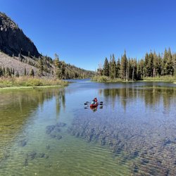 Twin Lakes - Underwater bloom