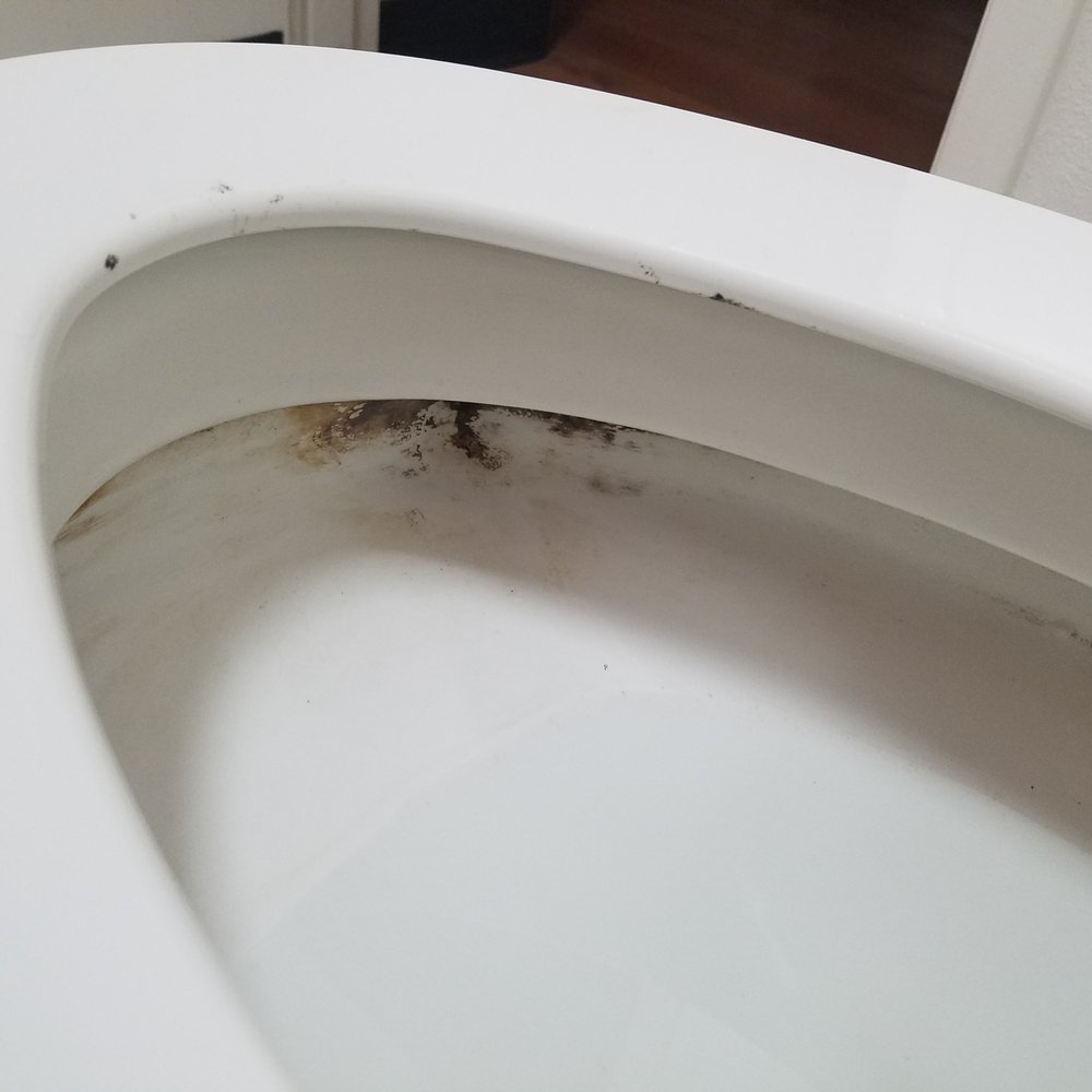 Motel 6 - Filth on inside rim of toilet - there was more but I was so disgusted I didn't take any more photos. - Hotels Near Me - Metter, Georgia Motel 6 - Filth on inside rim of toilet - there was more but I was so disgusted I didn't take any more photos. - Hotels Near Me - Metter, Georgia