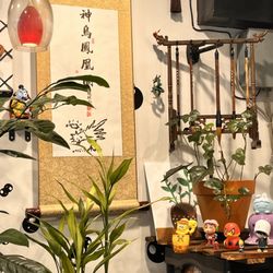 Teado Tea Shop