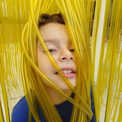 Los Feliz Nursery School - Field trip at LACMA / La Brea tar pits
