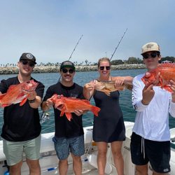 Rockfish