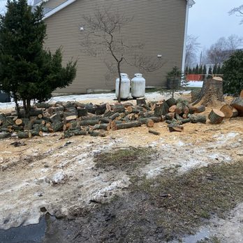 Eds Tree & landscaping - Cut the to pieces - Landscaping Near Me - Danbury, Connecticut