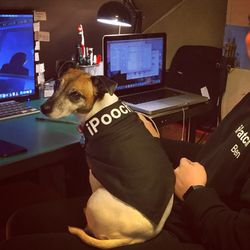 iPatch - iPhone, iPad, iPod and Mac repair - iPooch at work