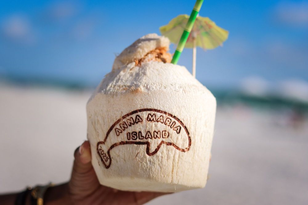 AMI Coconuts Logo