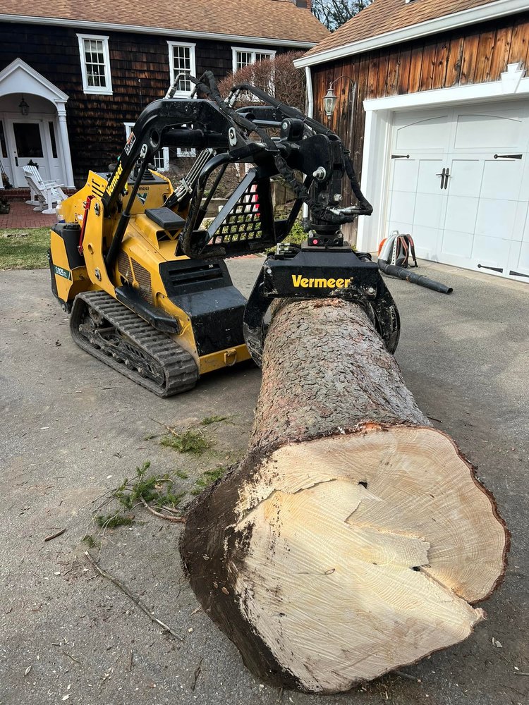 Jack's Tree Service And Landscaping - tree service in Allison Park, PA