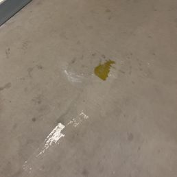 Dog piss in my walkway Dog piss in my walkway