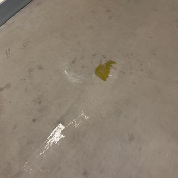 Vue On Macgregor Student Living - Dog piss in my walkway - Apartments Near Me - Houston, Texas Vue On Macgregor Student Living - Dog piss in my walkway - Apartments Near Me - Houston, Texas