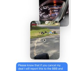 Auto Gals