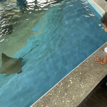 Florida Oceanographic Society - Community Service/Non-Profit Near Me - Stuart, Florida Florida Oceanographic Society - Community Service/Non-Profit Near Me - Stuart, Florida