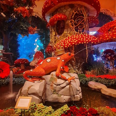 Bellagio Conservatory & Botanical Gardens by null Bellagio Conservatory & Botanical Gardens by null