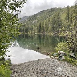 Sardine Lake Resort - Views of Sardine Lake
