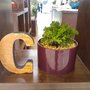 Photo of Menta boutique floral