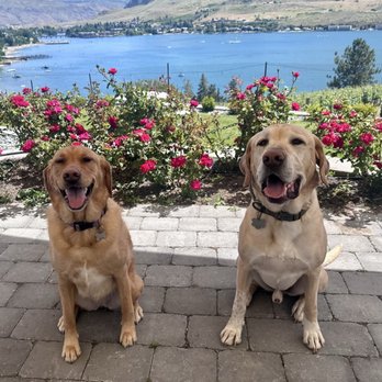 Vin du Lac Winery & Bistro - New American Near Me - Chelan, Washington