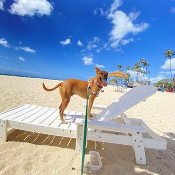 Pu'uloa Beach - Beaches Near Me - Ewa Beach, Hawaii