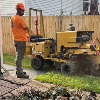 LaForest Property Services - Stump grinding in a tight area is possible too! With time and caution, we do things right the first time. - Tree Services Near Me LaForest Property Services - Stump grinding in a tight area is possible too! With time and caution, we do things right the first time. - Tree Services Near Me