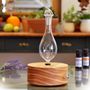 Photo of Aromis Aromatherapy