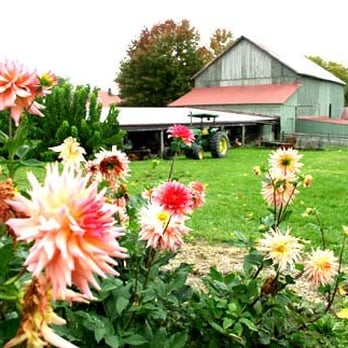 Sand Hill Berries - Fruits & Veggies Near Me - Mount Pleasant, Pennsylvania