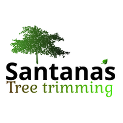 Santana's Tree Trimming