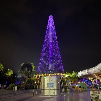 Zoo Miami - Zoo Lights Miami - Zoos Near Me - Miami, Florida