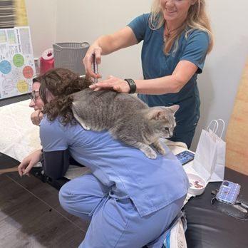 Wellbeing Medicine for Animals - Veterinarians Near Me - Birmingham, Alabama