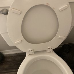 Filthy toilets ,dirty carpet, dirty front door ,rats eating through food