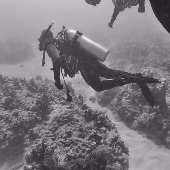 Island Divers Hawaii - Scuba Diving Near Me - Schofield Barracks, Hawaii Island Divers Hawaii - Scuba Diving Near Me - Schofield Barracks, Hawaii