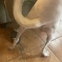 Photo of Annies Grooming Tails