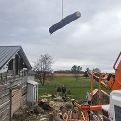 Arbor Care Tree Service