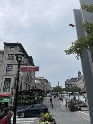 Alternative Hostel of Old Montreal by null