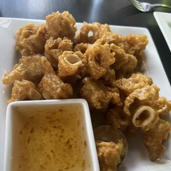 Coconut Thai - Crispy Calamari - Thai Near Me - Edina, Minnesota