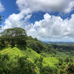 Kuilau Ridge Trail