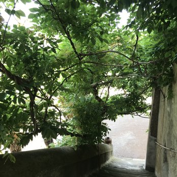 The Old Frascati - Ancient stairs leading up to the tasting room. - Food Tours Near Me - Frascati, RM