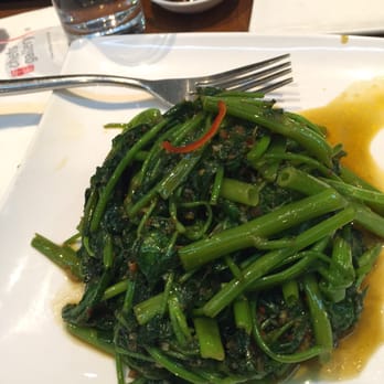 Chefs Gallery Townhall - Spicy water Spanish - Chinese Near Me - Sydney, NSW Chefs Gallery Townhall - Spicy water Spanish - Chinese Near Me - Sydney, NSW