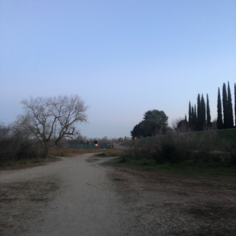 Paradise Beach - Trail - Parks Near Me - Sacramento, California