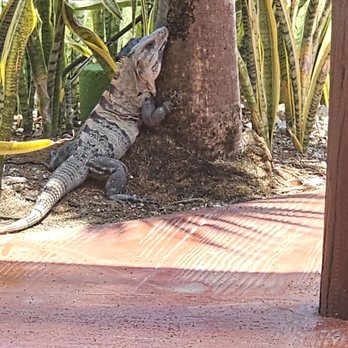 Valentin Imperial Maya - Hotels Near Me - Playa del Carmen, ROO