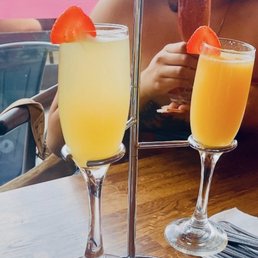Mimosa Flight