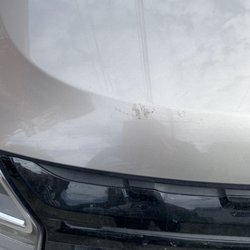 Budget Car Rental